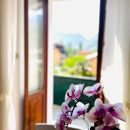 Apartment Vanda House