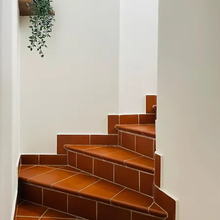 Apartment Vanda House